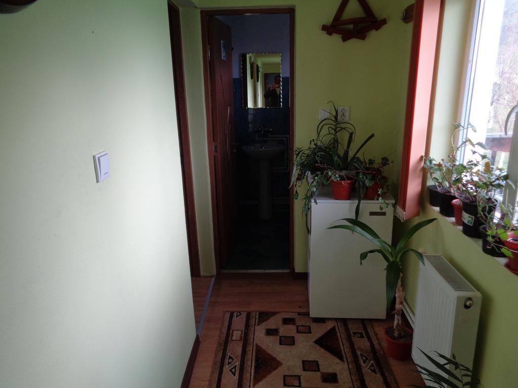 Hotel Gasthaus Enduro Bica Caransebeş Zewnętrze zdjęcie