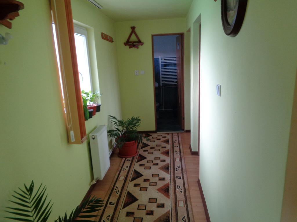 Hotel Gasthaus Enduro Bica Caransebeş Zewnętrze zdjęcie